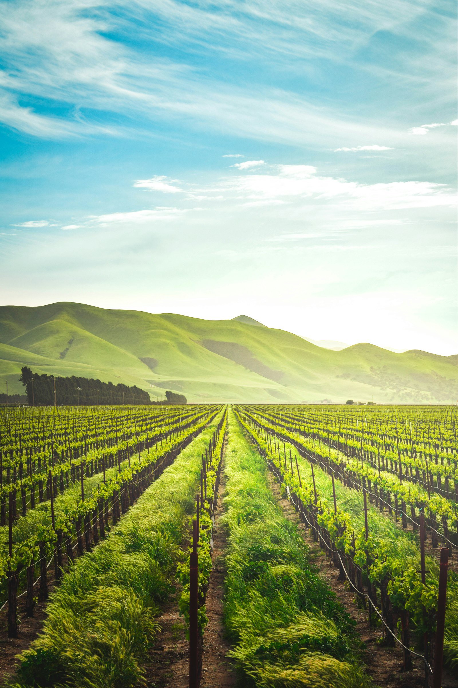 Responsible Sourcing